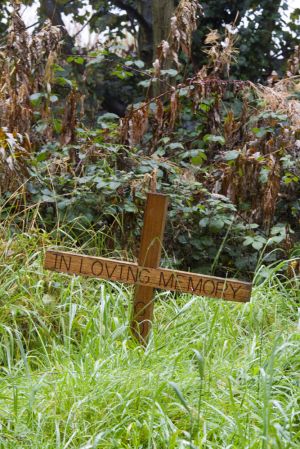 undercliffe october in loving memory sm.jpg